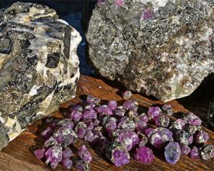 FA16-GNI-Figure-4_207937-636x358